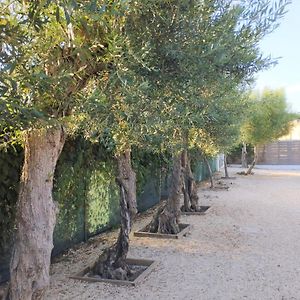 B&B Villa Nancy